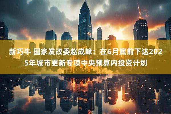 新巧牛 国家发改委赵成峰：在6月底前下达2025年城市更新专项中央预算内投资计划