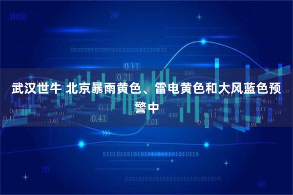 武汉世牛 北京暴雨黄色、雷电黄色和大风蓝色预警中
